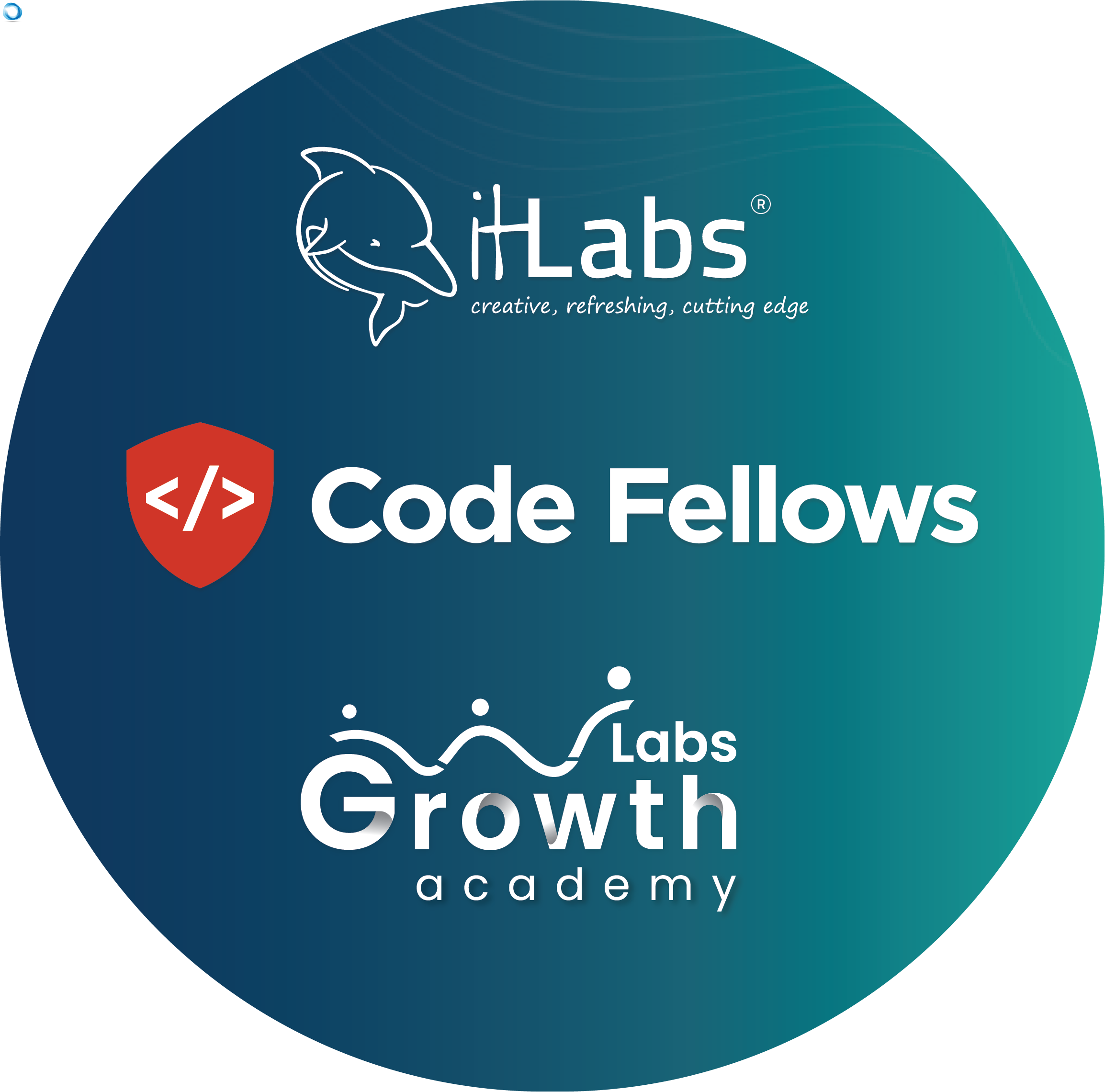 It Labs, Code Fellows, Growth Labs Academy